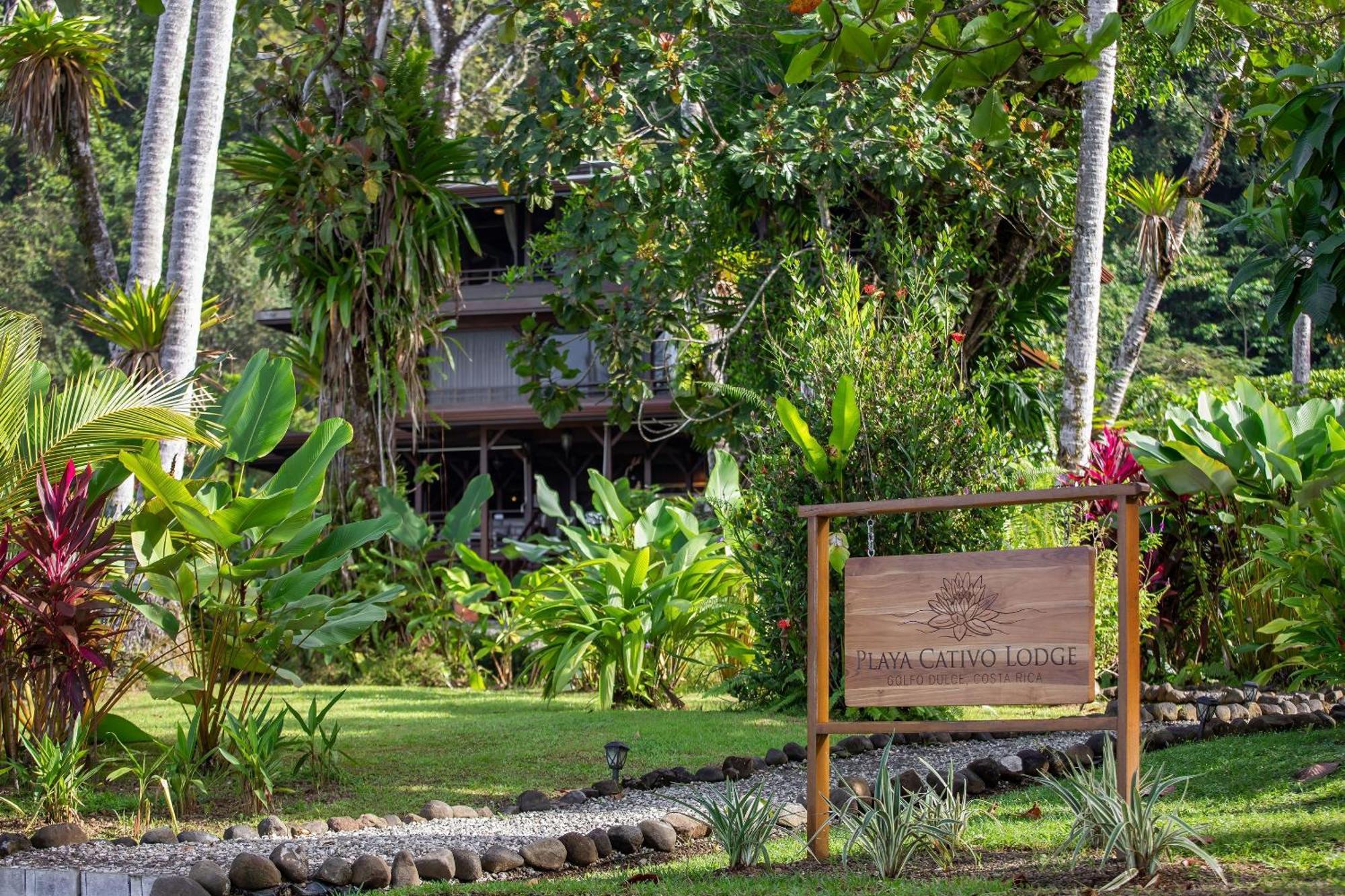 Playa Cativo Lodge Esquinas Exteriör bild