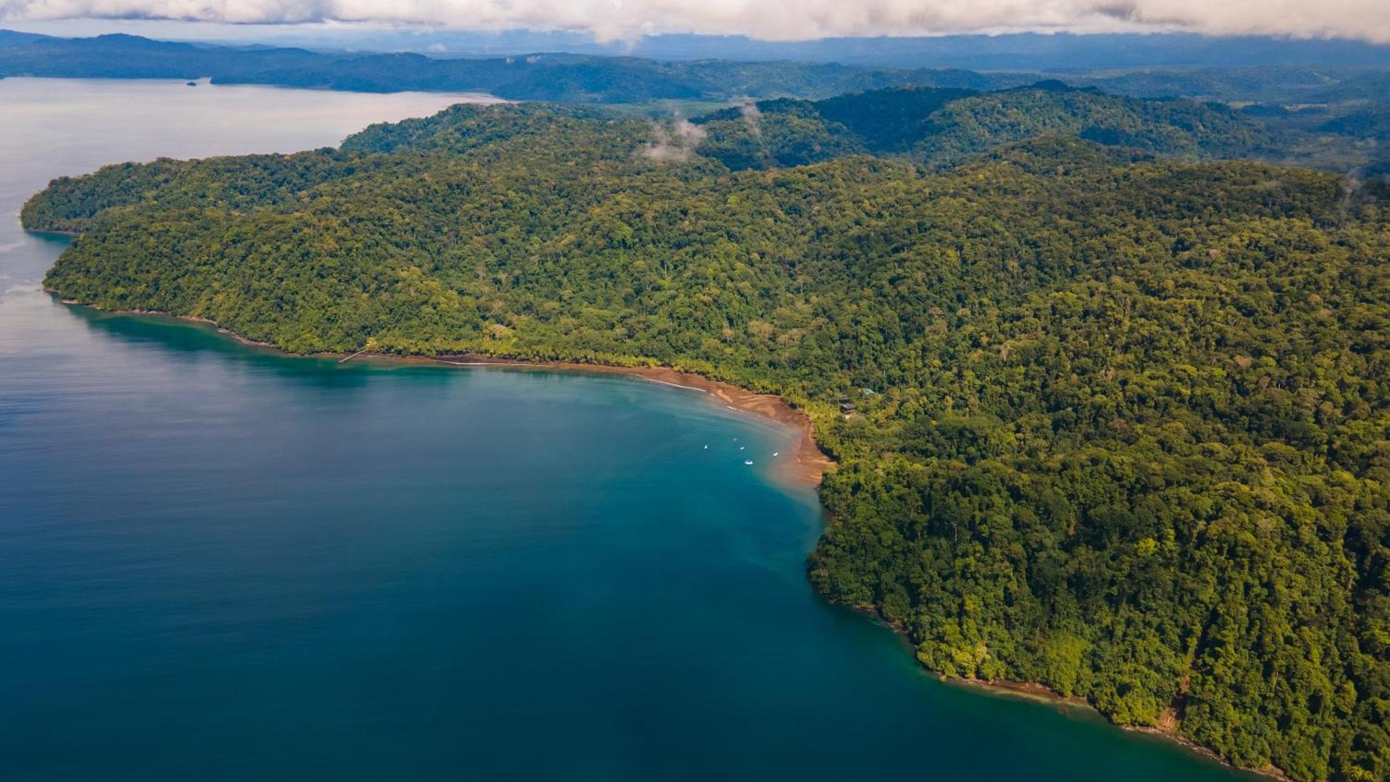 Playa Cativo Lodge Esquinas Exteriör bild